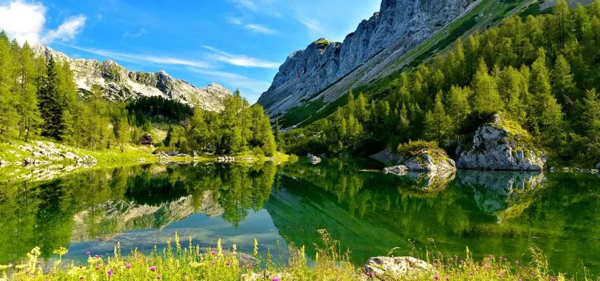Bohinjer See im Nationalpark Triglav
