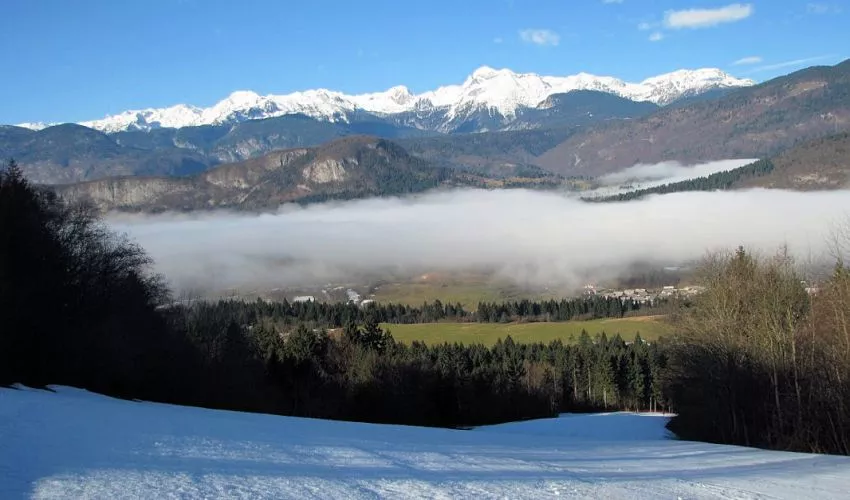 Frühling in den Julischen Alpen, Slowenien