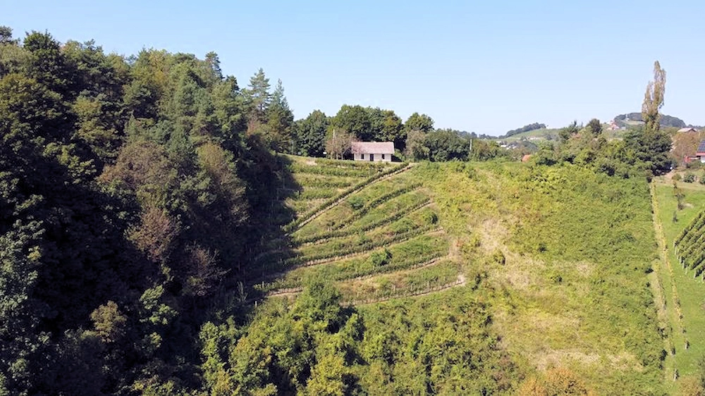 Haus und Weinberg von unten