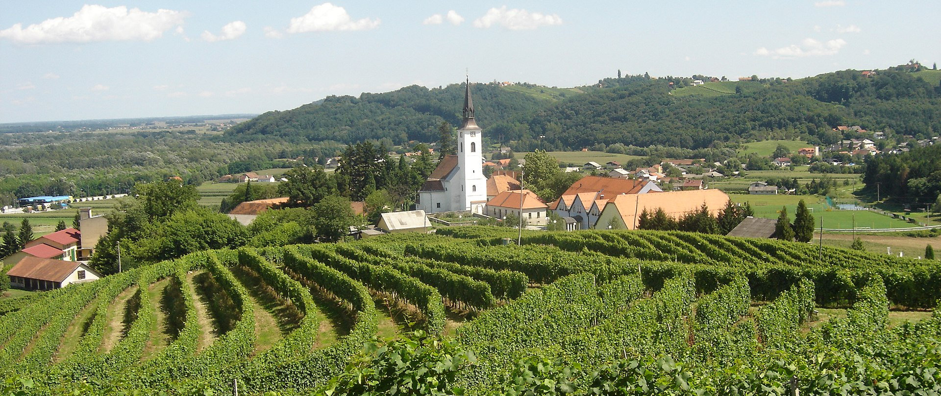 Zavrč