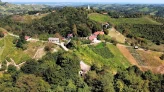 Luftaufnahme mit Dorf im Hintergrund