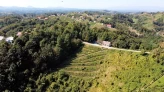 Haus und Hang