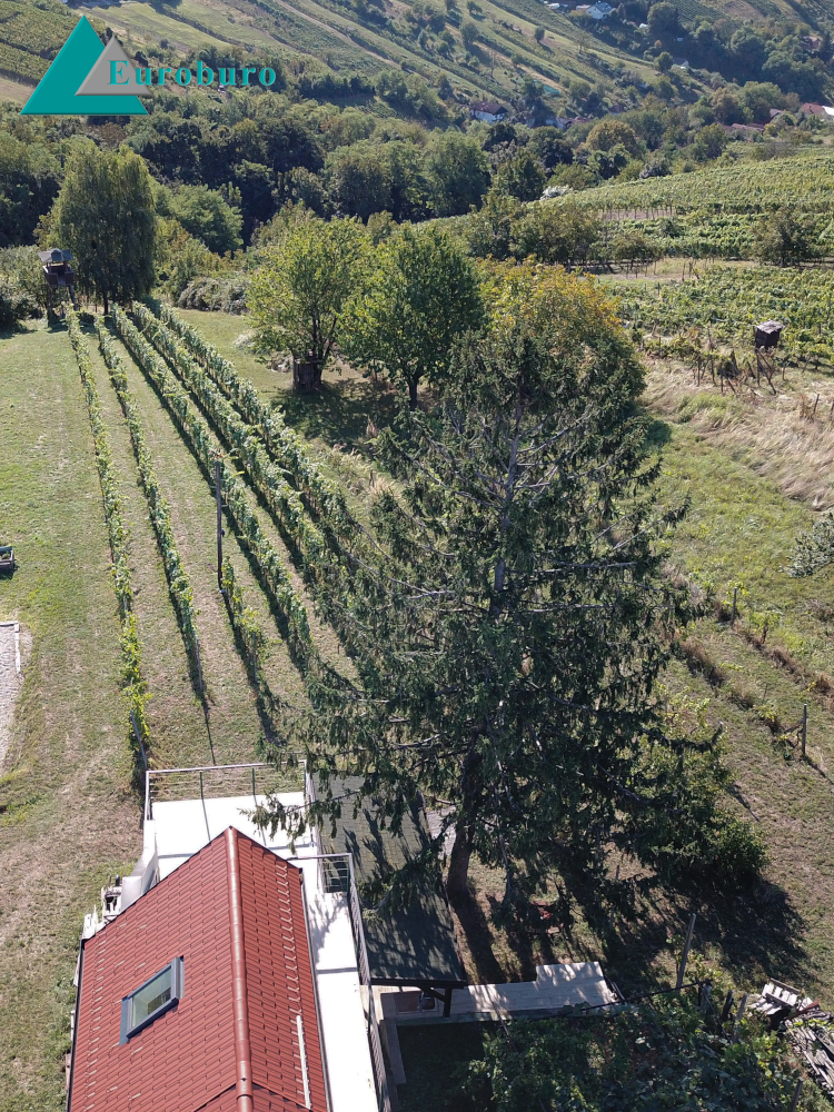 Drohnenansicht von Haus und Grundstück