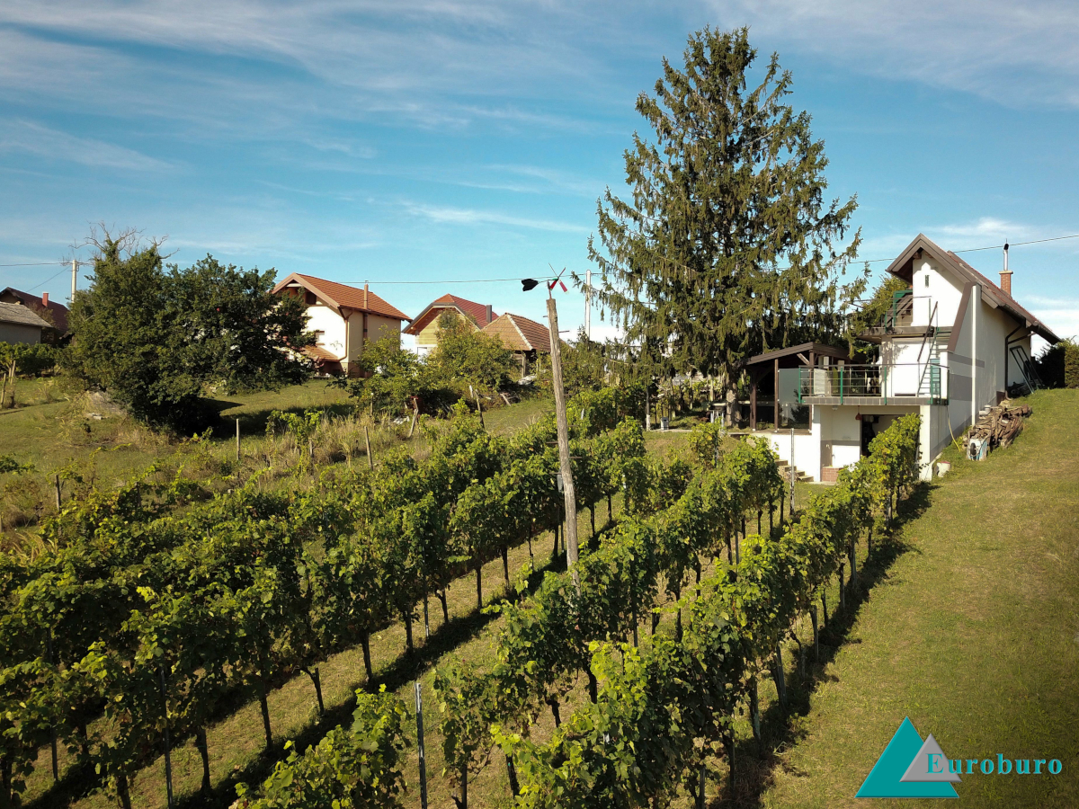 Haus vom Garten aus gesehen