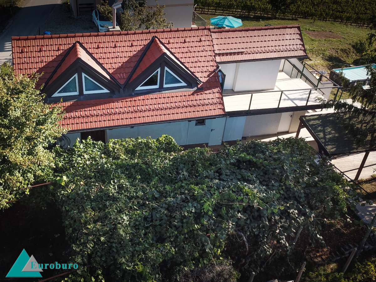 Drohnenansicht einer Pflanzenpergola