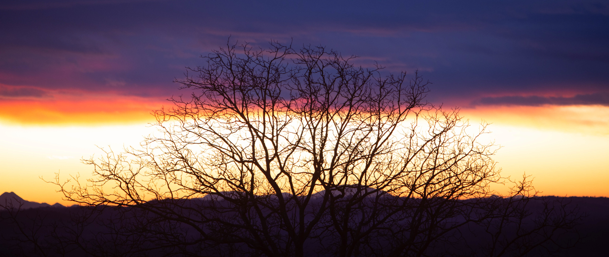 Ein Winterblick auf die Gegend