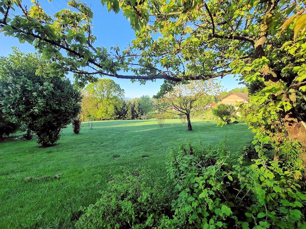 Obstgarten und Rasen