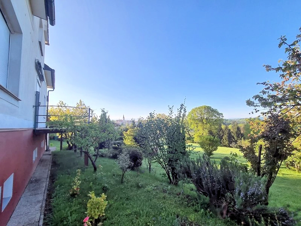 Die Südwand und der Garten