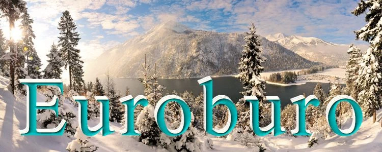 Euroburo Banner